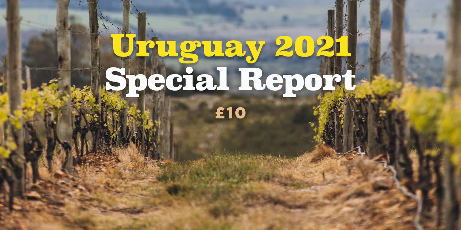 Tim Atkin MW publica su informe especial sobre Uruguay 2021