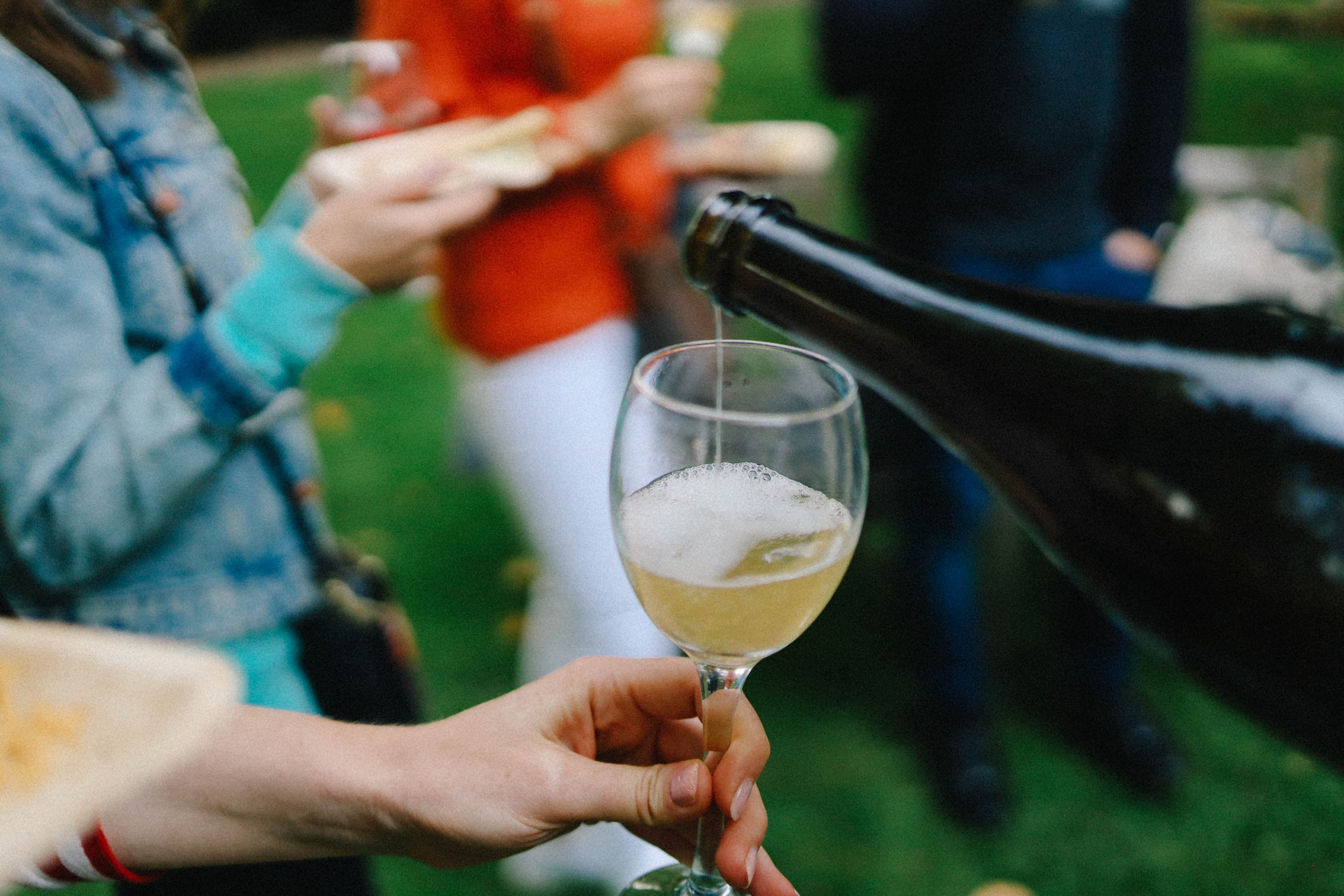 Enoturismo: descubre la cultura del vino y cómo elegir la mejor actividad