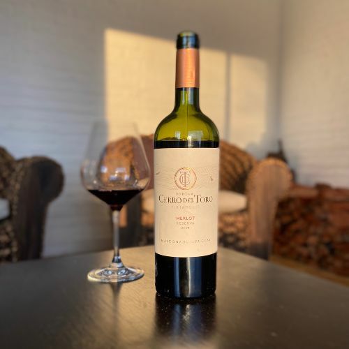 2019_merlot_cdt 2019 Merlot Reserva Cerro del Toro